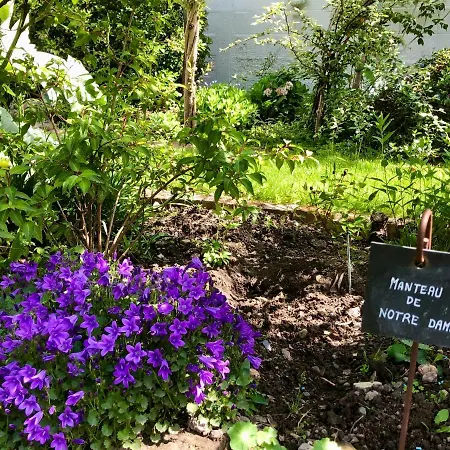 Le Grenier Du Jardin Bed & Breakfast 3*