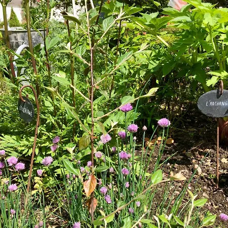 Le Grenier Du Jardin Bed & Breakfast