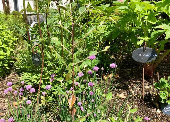 Le Grenier Du Jardin Bed & Breakfast